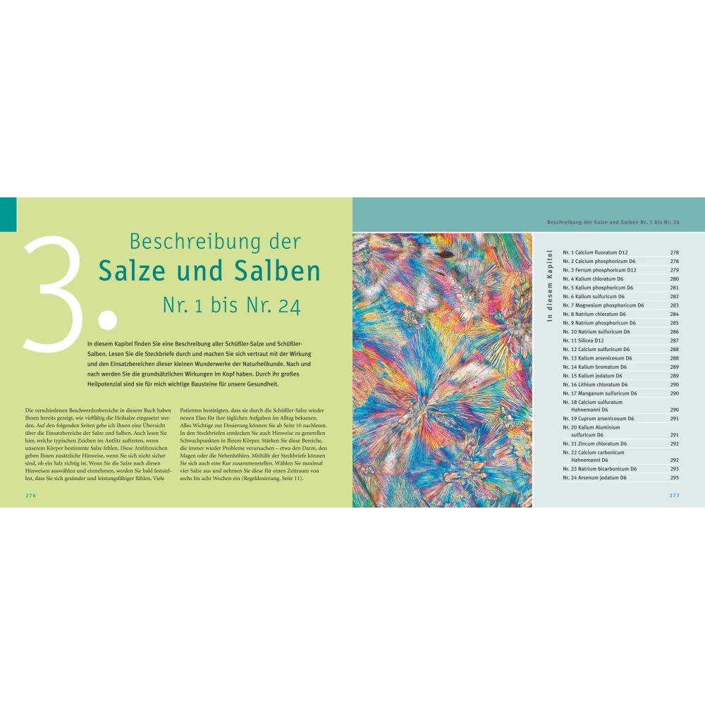 Thumbnail - Maxi-Quickfinder Schüssler-Salze, Ratgeber von Günther H. Heepen