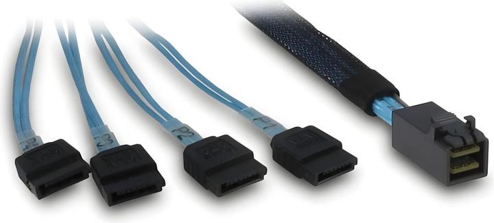 Intertech Inter-Tech Kabel SFF 8643 - 4x SATA/SAS- 0,7m Crossover (70 cm, SAS, SATA)