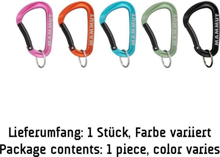 Immagine prodotto Mammut Mini moschettone Workhorse Keylock L