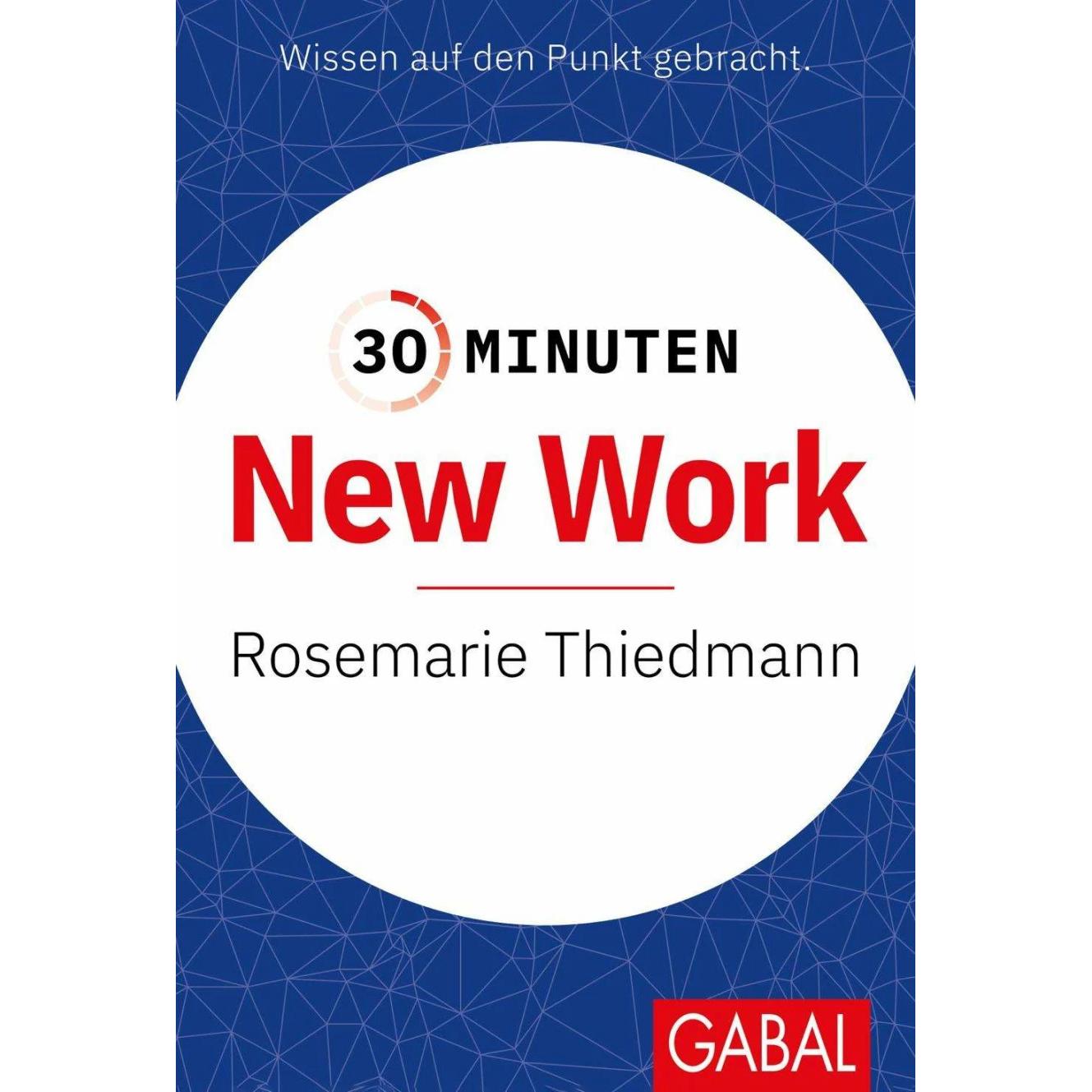 30 Minuten New Work, Ratgeber von Rosemarie Thiedmann