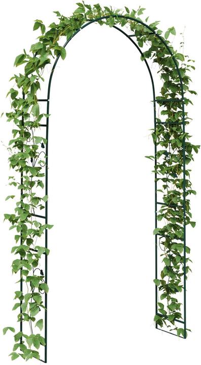 Actual product image vidaXL Gartenbogen (115 cm, 37 cm)
