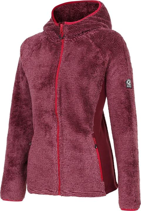 Produktbild Dare2b Torrek Mountain Pro Midlayer (46)