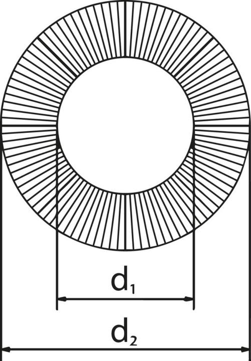 Productafbeelding Nord-Lock Schijven SS-254 NL10sp a6st.
