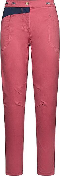 P13B46-Rosebay, Ciel nocturne