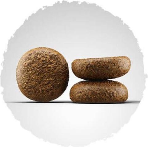 Image du produit Josera Nature active (5 pcs, 4500 g)