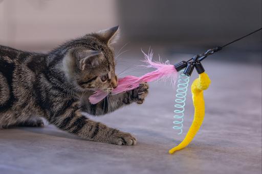 Produktbild Beeztees Kitten Katzenangel Kocka (Spielangel Katze)
