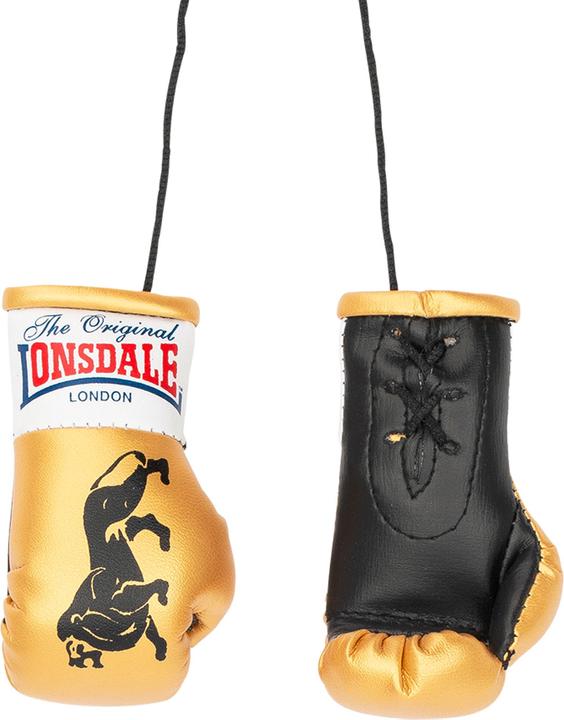 Immagine prodotto Lonsdale Guantoni da boxe in miniatura (Taglia unica)