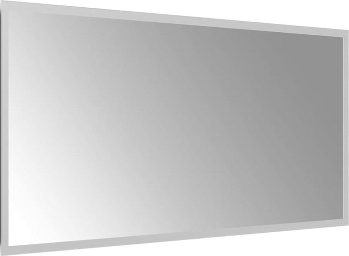 Produktbild vidaXL Spiegel (40 x 80 cm)