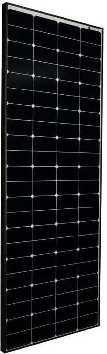 Actual product image Wattstunde Solarpanel SOLA Frame Daylight 175 Wp HV (175 W, 9.30 kg)