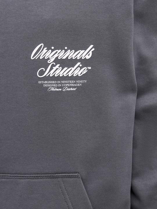 Immagine prodotto Jack & Jones Kapuzenpullover Kapuzenpullover (XXL)