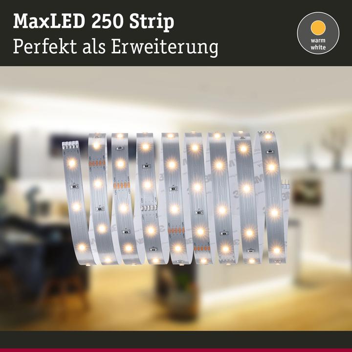 Image du produit Paulmann MaxLED 250 Stripe (Blanc chaud, 250 cm, Intérieur)