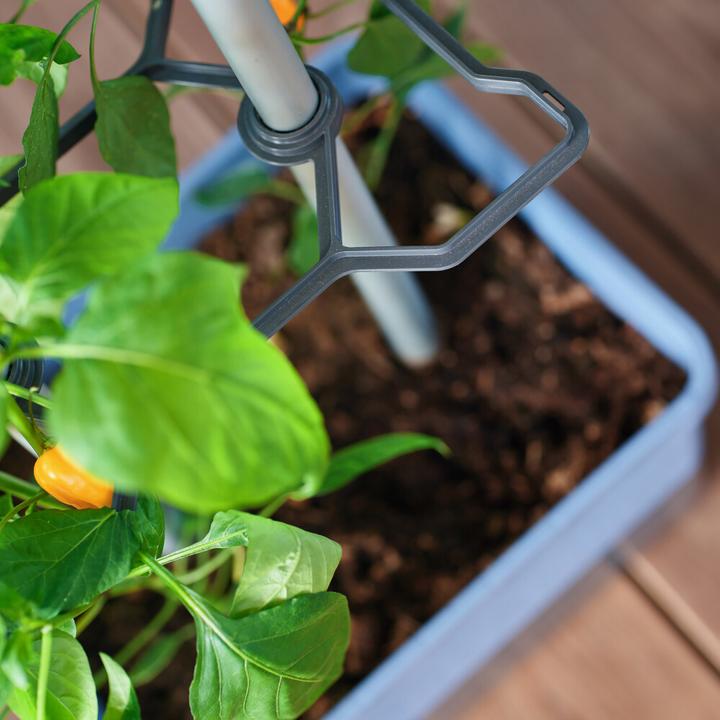 Produktbild Gusta Garden Charly Chili (35 cm)