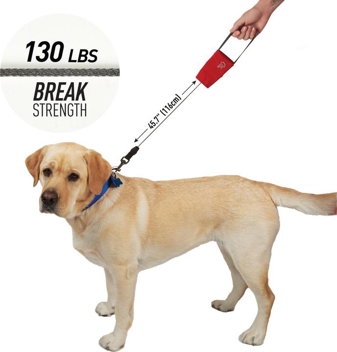 Produktbild Nite Ize RadDog Aufrollbare Taschenleine (Hund, Allgemein)