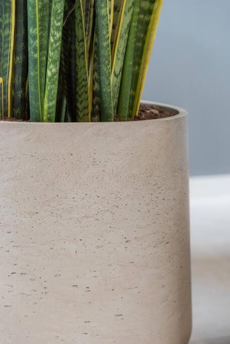 Produktbild Pottery Pots Patt XL (23 cm)