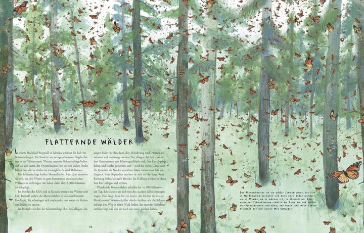 Produktbild Wanderungen (Deutsch, Jenni Desmond, Mike Unwin, 2018)