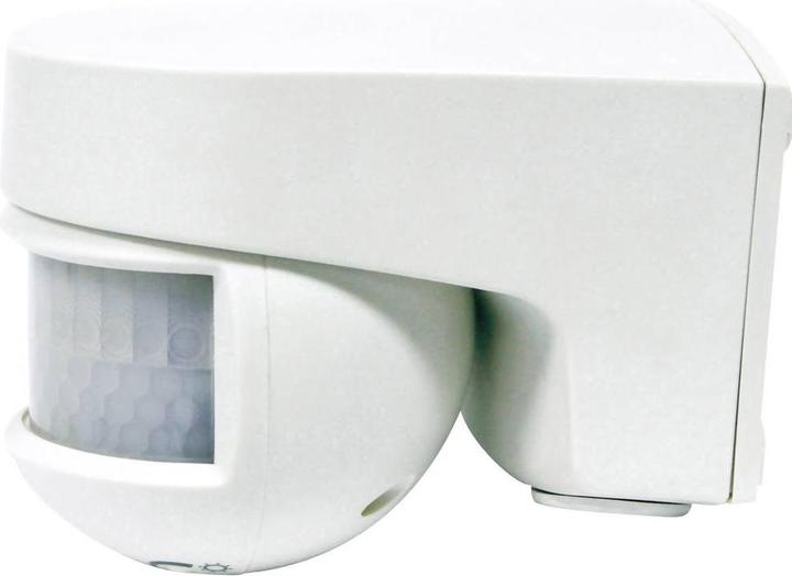 Actual product image Orbis Timer OB134312 Wan (12 m)