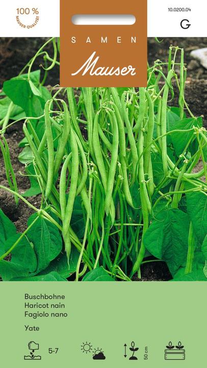 Produktbild Samen Mauser Buschbohne Yate (Gemüsesamen)