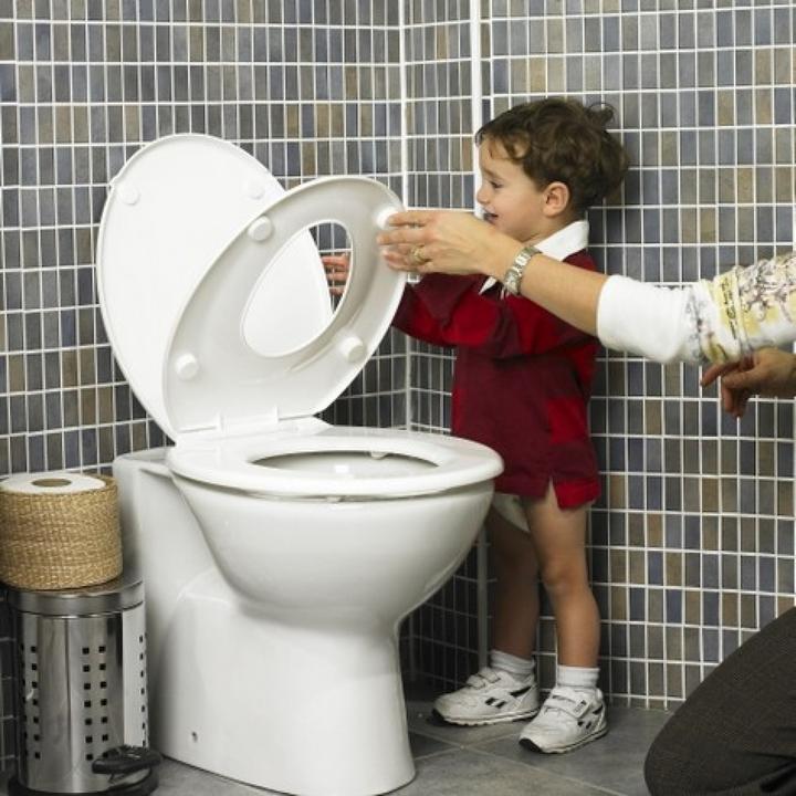 Actual product image Family Seat toilet seat