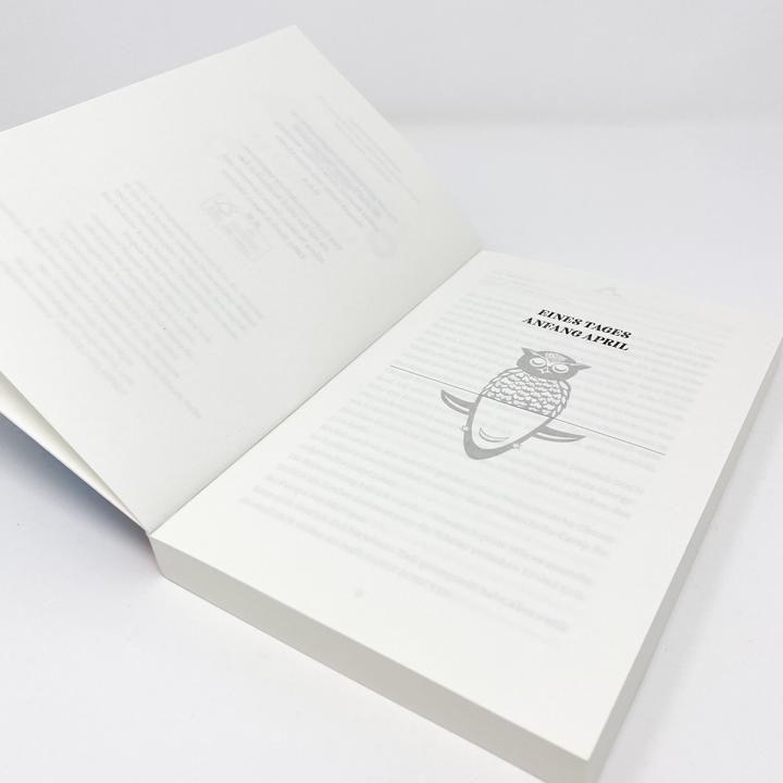 Produktbild An Nachteule von Sternhai (Deutsch, Holly Goldberg Sloan, Meg Wolitzer, 2021)