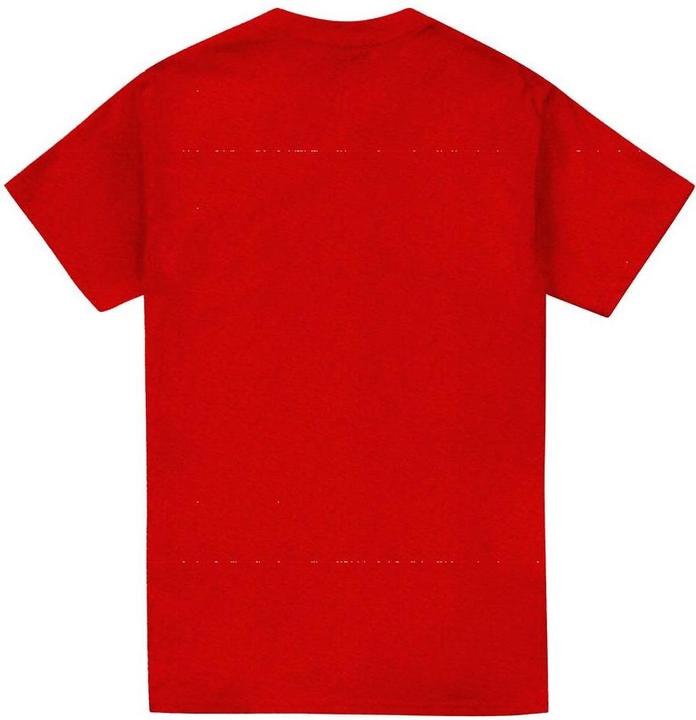 Actual product image Unisex Adult Red Hulk Roar T-Shirt (L)