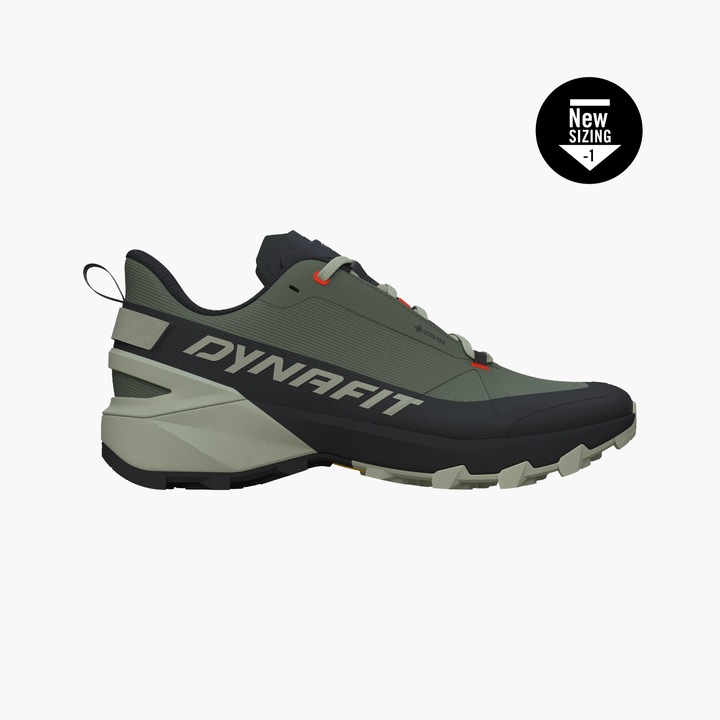 Actual product image Dynafit Transalper 2 GTX (44.5)