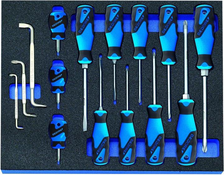 Gedore 2005 CT2-2160 Set di cacciaviti in modulo di controllo, 15 pezzi