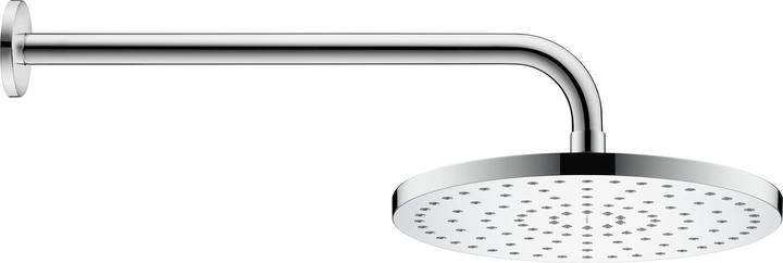 Duravit Hoofddouche 1 straal, 250, MinusFlow chroom (1 Typen balken, 9.50 l/min)