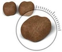 Image du produit Royal Canin Sensibilité orale (Adulte, 1 pcs, 8000 g)