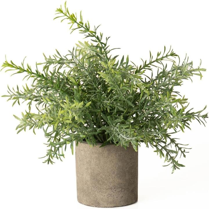 günstige blumenkästen mit halterung Blumenkastenhalterung mit Haltebügel f. Fensterbänke Edelstahl ohne Bohren