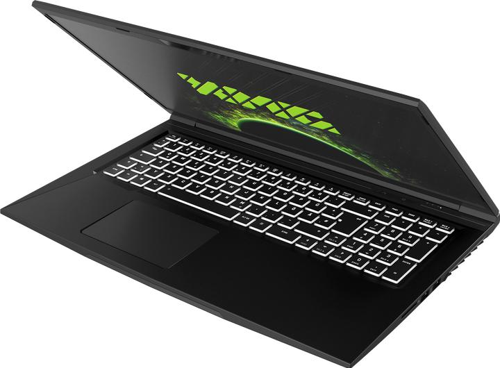 Produktbild XMG Core 17 (17.30", AMD Ryzen 5 4600H, 16 GB, 500 GB, DE)