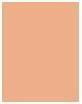 Produktbild Shiseido Total Radiance Foundation (N4)