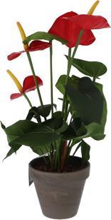 Immagine prodotto edelman Anthurium artificiale rosso in vaso (40 cm)