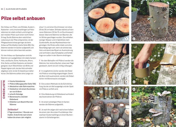 Produktbild Garten-Projekte für Selbermacher (Deutsch, Folko Kullmann, 2022)