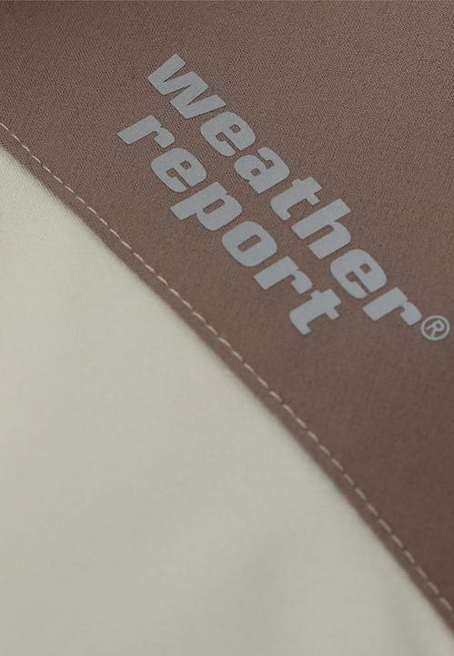 Immagine prodotto Weather Report Camelia