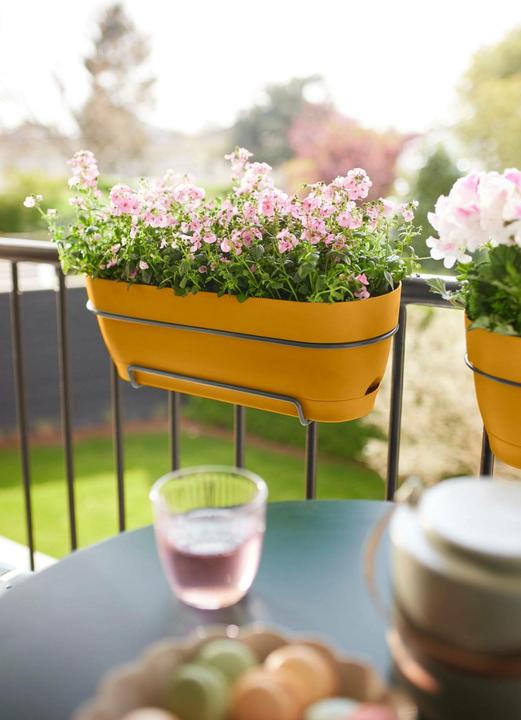 Image du produit Elho Vibia Campana Balcon Allin1 (50.40 x 26 x 17 cm)