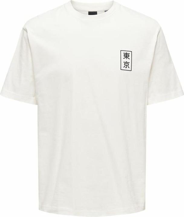 Produktbild Only & Sons Onskace Rlx Jap Ss Tee (M)