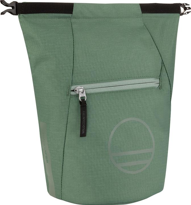 Edera verde