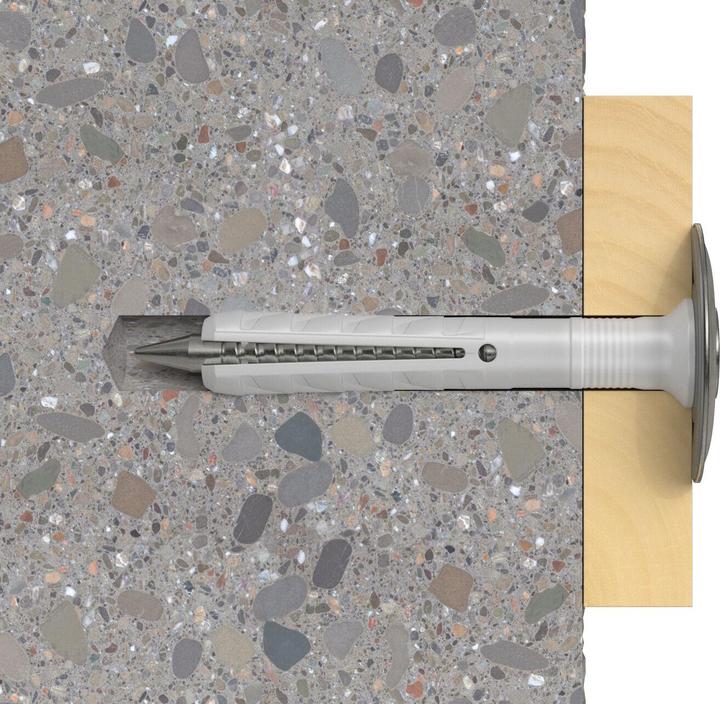 Actual product image Fischer Nail anchor N 6x60/30 S D A2 (50 pcs.)