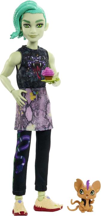 Actual product image Monster High HHK56