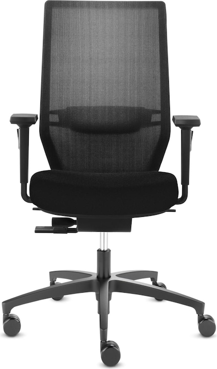 Dauphin Shape Mesh