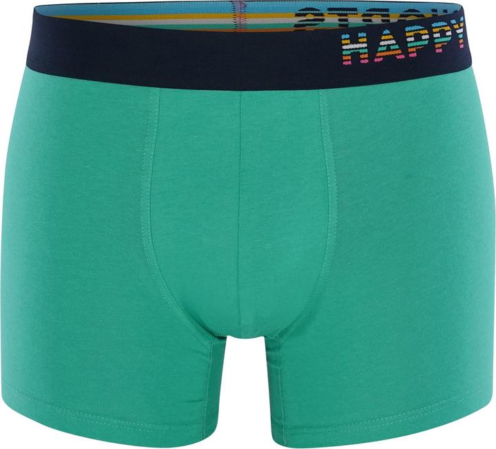 Actual product image Phil & Co. Berlin Retro Pants All Styles (L, pack of 4)