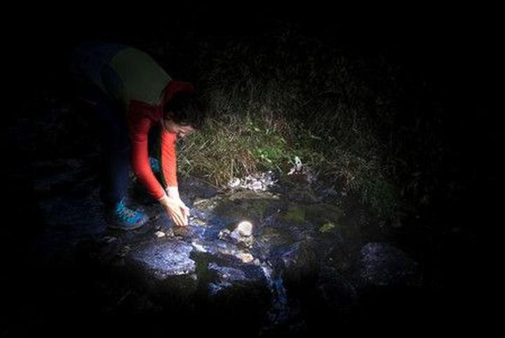 Image du produit Brennenstuhl CampingLight