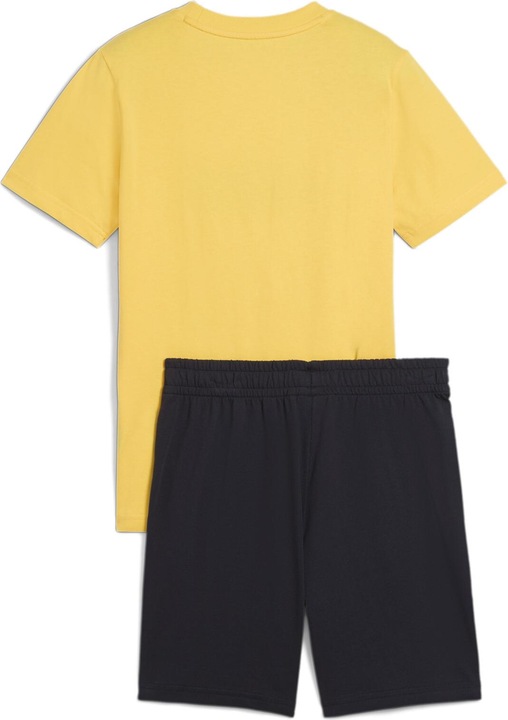 Actual product image Puma ESS 2 COLOR No. 1 Logo Tee and Shorts Set B (176)