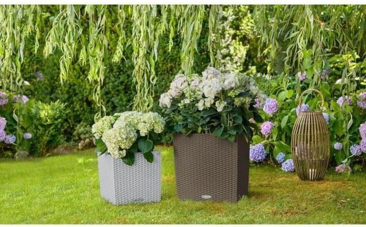 Produktbild Lechuza Blumentopf Cube Cottage 50 (50 x 50 x 49.50 cm)