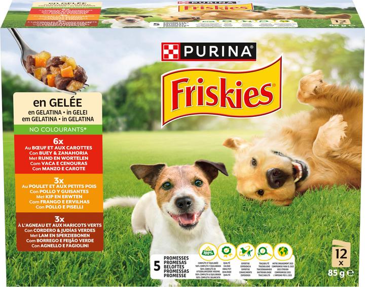 Image du produit Friskies En gelée (Adulte, 1 pcs, 1020 g)