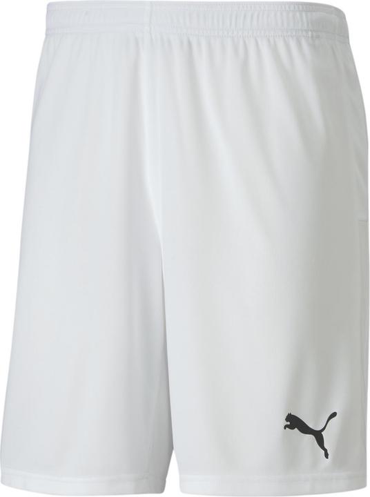 Actual product image Puma teamGOAL 23 knit shorts-704262 (S)