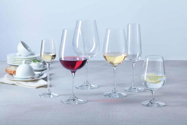 Actual product image Leonardo Tivoli digestif glasses (1 dl, 6 x, Liqueur glasses + grappa glasses)