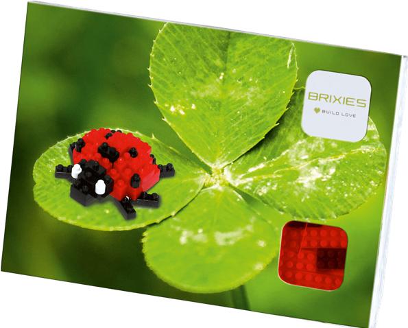 Actual product image Brixies Ladybug