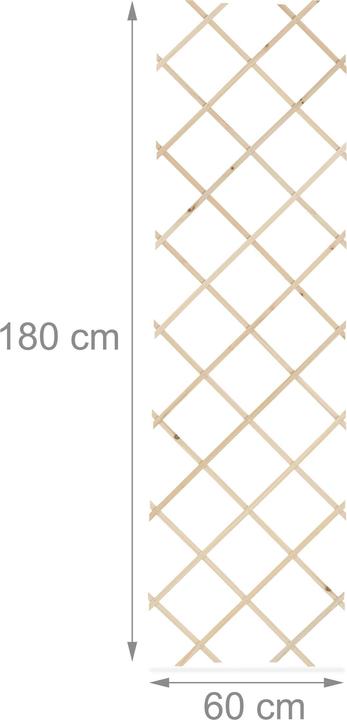 Actual product image Relaxdays 3x trellis (1 cm, 60 cm)