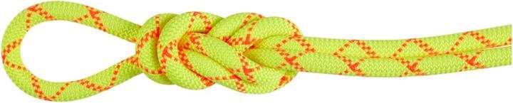Actual product image Mammut 9.5 Alpine Core Protect Dry Rope (80 m)